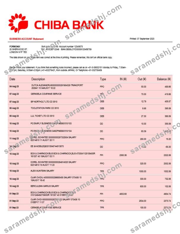 Chiba Bank company checking account statement Word and PDF template